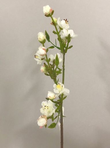 [7182] mini peach pick cream 