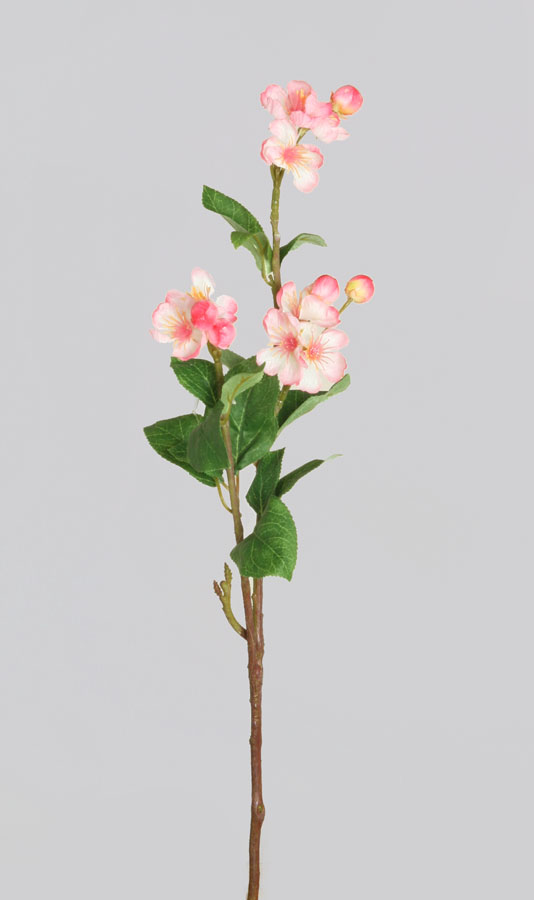 peach blossom spray 
