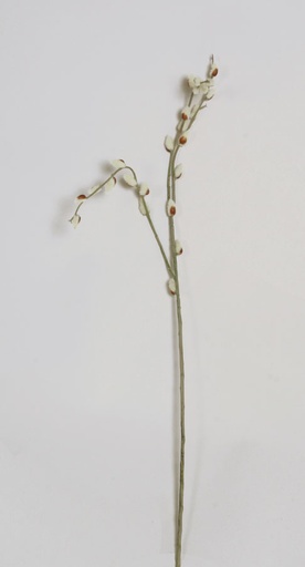 [7186] pussy willow 