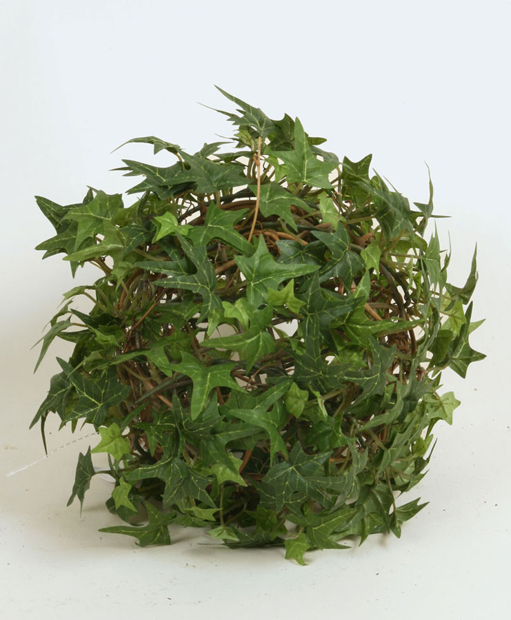 finger ivy ball 