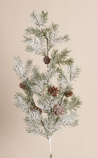 [2319] picea spray with cones and snow 