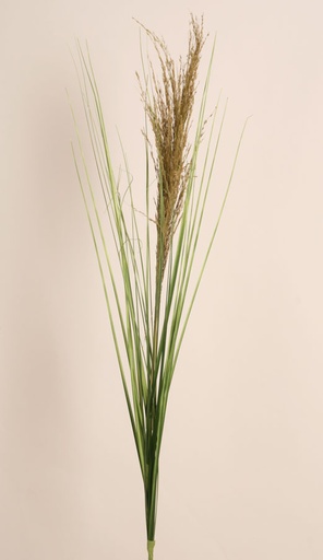 [2328] ornamental grass 