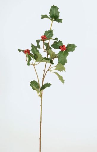 [7241] holly leaf 