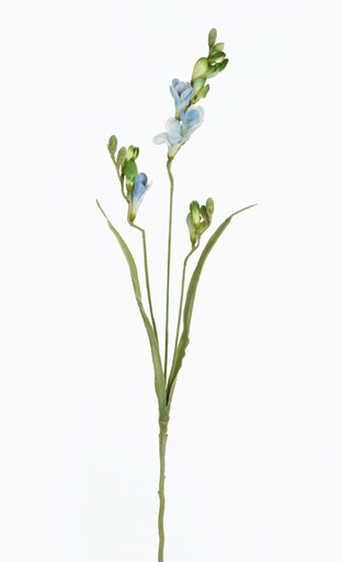 [628b] freezia light blue 