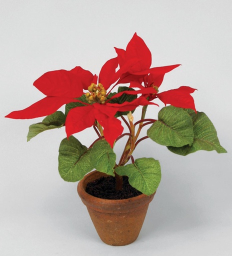 [9678] poinsettia in pot red 
