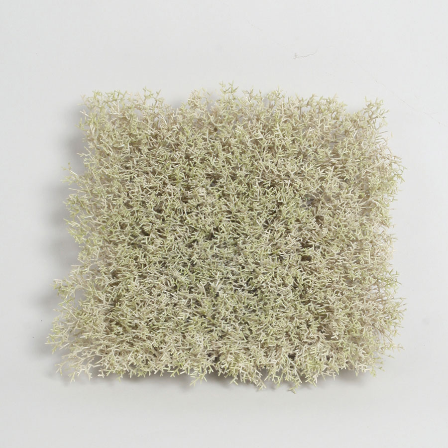moss mat 