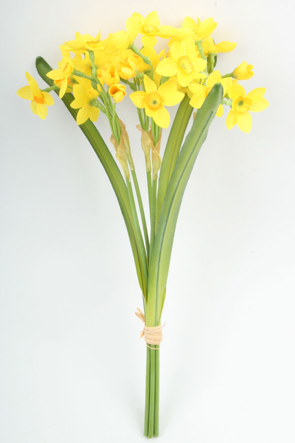 narcissus bundle 