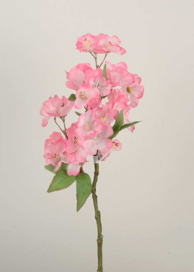 peach blossom pick 