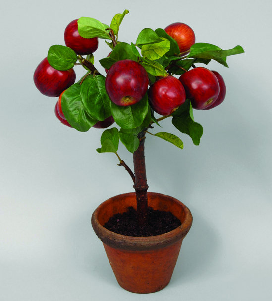 apple branch pot 