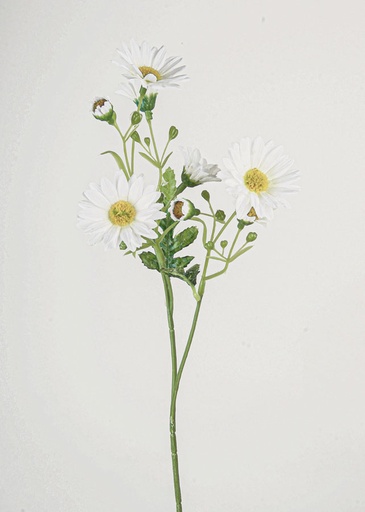 [4939] daisy spray white 