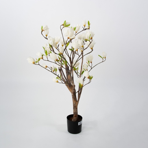 [1251-080-03] magnolia 