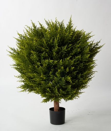 [1276-050] cypressus ball 