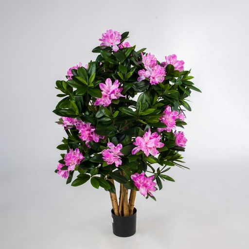 [1285-070] rhododendron 