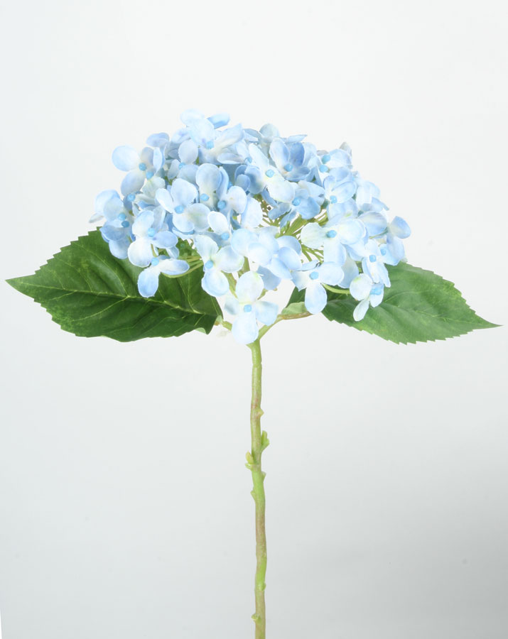 hydrangea spray